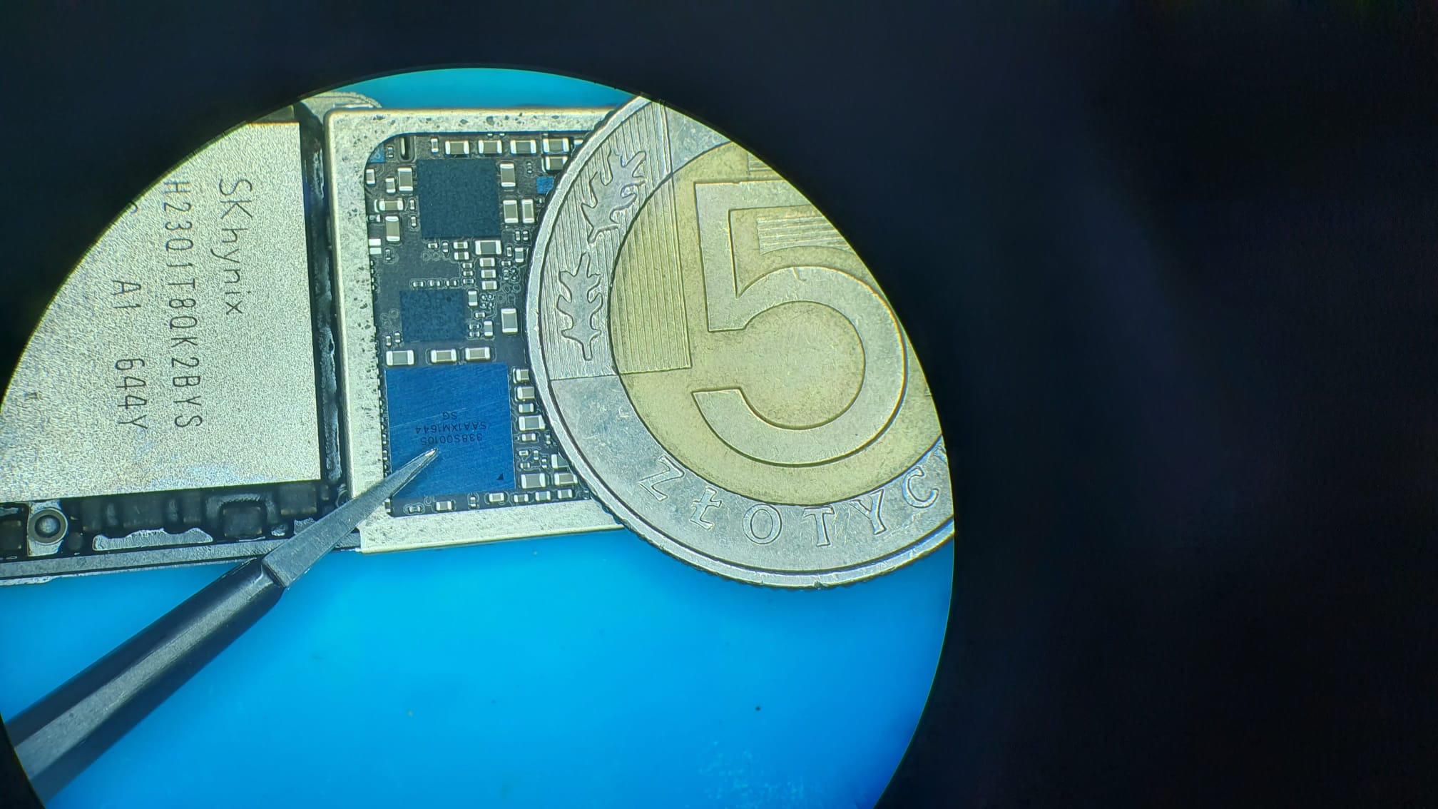 Zbliżenie na płytę główną smartfona pod mikroskopem, z widocznym układem scalonym SK Hynix, pinsetą i monetą 5 zł dla skali, na niebieskim tle.