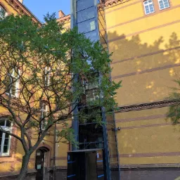 Zewnętrzna, przeszklona winda w budynku o żółtej elewacji, widoczna zza drzewa.