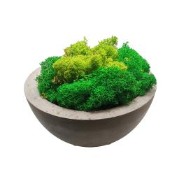 Ozdoby, dekoracje Gorzów Wielkopolski 3