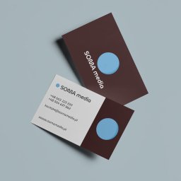 TRZEŚNIEWSKI VISUAL DAWID TRZEŚNIEWSKI - Logo i identyfikacja wizualna SOMA media