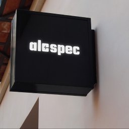 Logo i projekt sklepu internetowego
alespec.pl