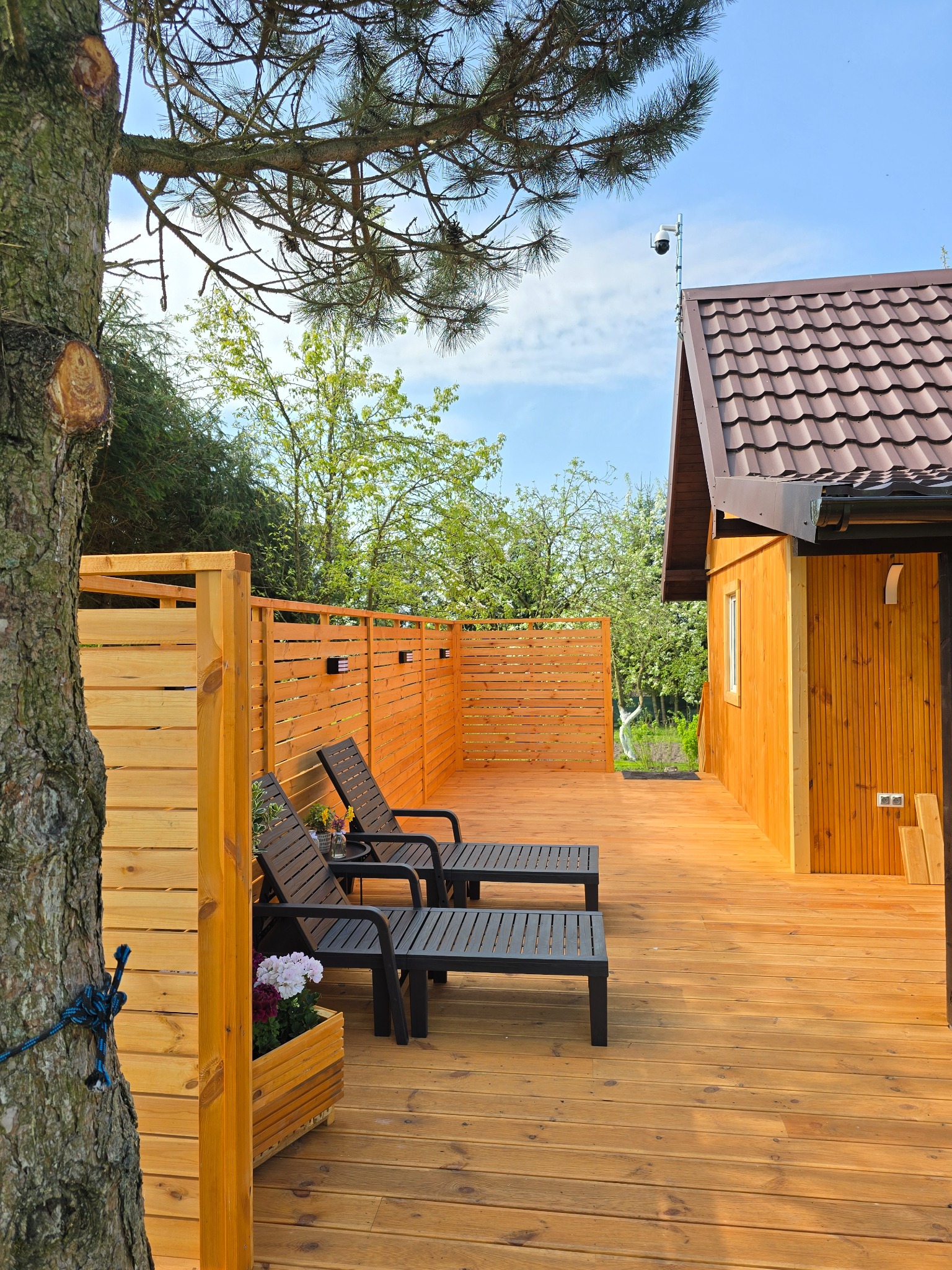 Drewniany taras z leżakami i osłoną, obok domku z brązowym dachem. Na pierwszym planie pień drzewa z niebieskim sznurkiem. W tle zieleń drzew i błękitne niebo.