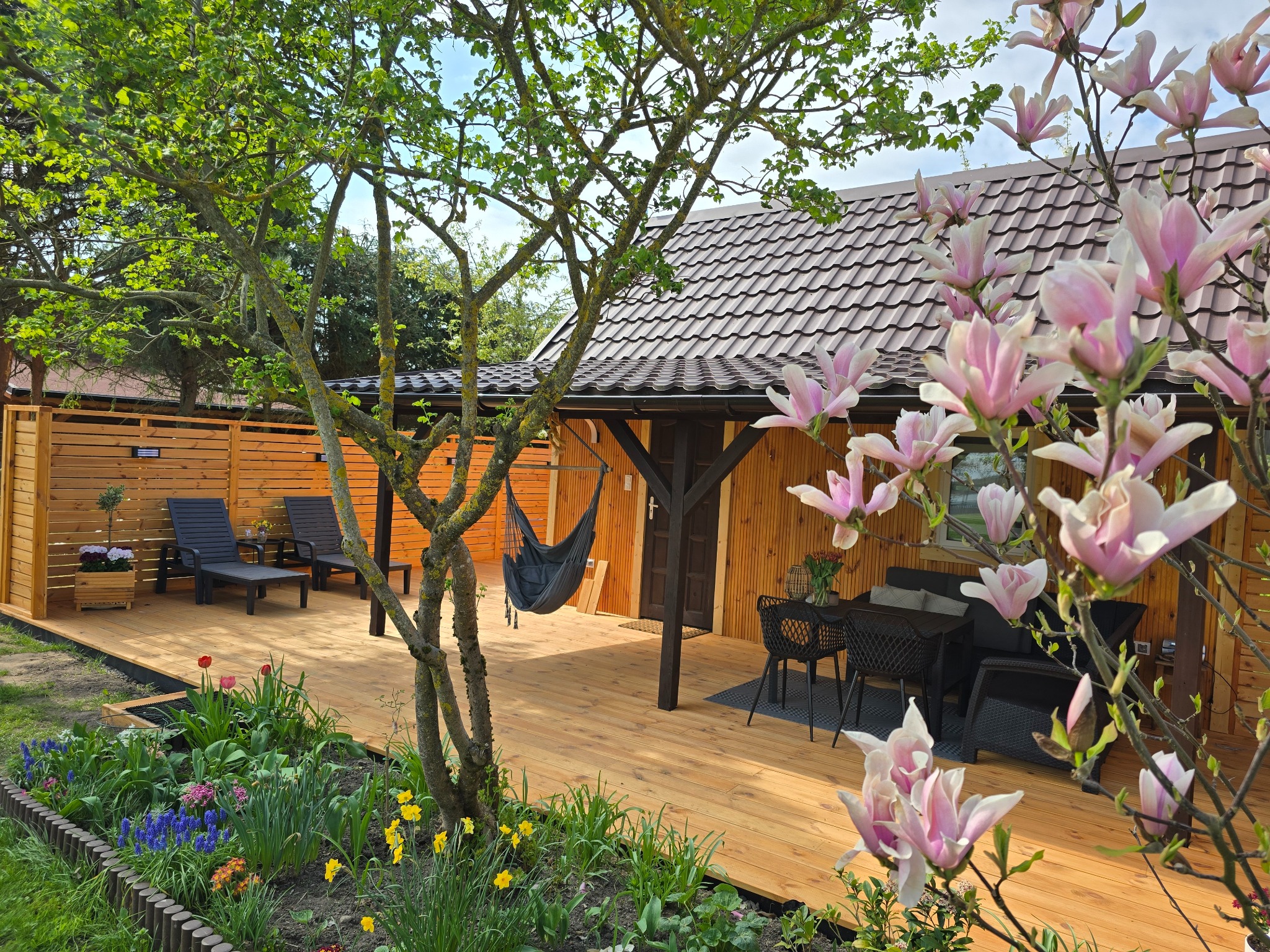 Drewniany taras z meblami ogrodowymi i hamakiem w Grajewie. Widoczne kwitnące magnolie i ogrodzenie z desek. Ujęcie w słoneczny dzień.