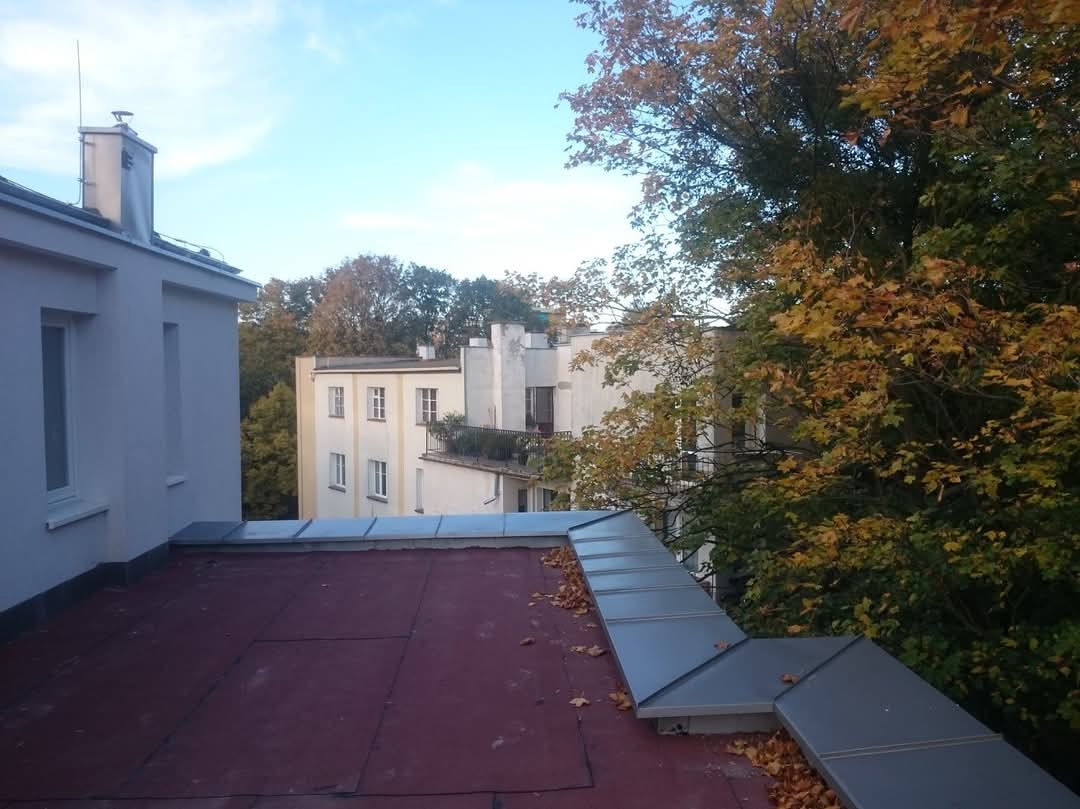 Czerwony dach pokryty papą z szarymi obróbkami blacharskimi, na którym leżą opadłe liście. W tle budynki i drzewa z jesiennymi liśćmi, widoczne przy słonecznej pogodzie.