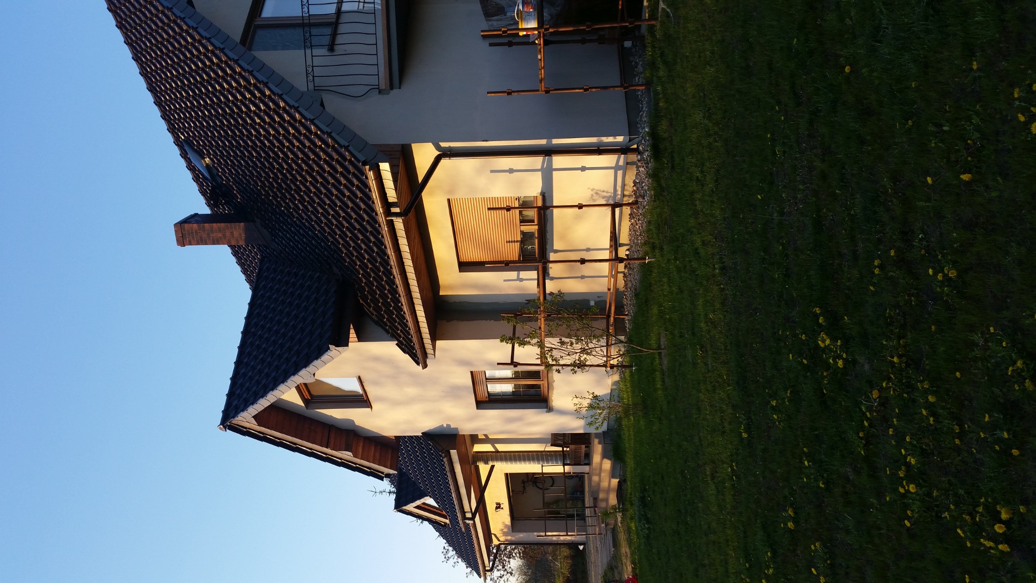 Dom jednorodzinny w trakcie prac elewacyjnych, widoczne rusztowania przy ścianie, świeżo położony tynk oraz fragment trawnika z żółtymi kwiatami.