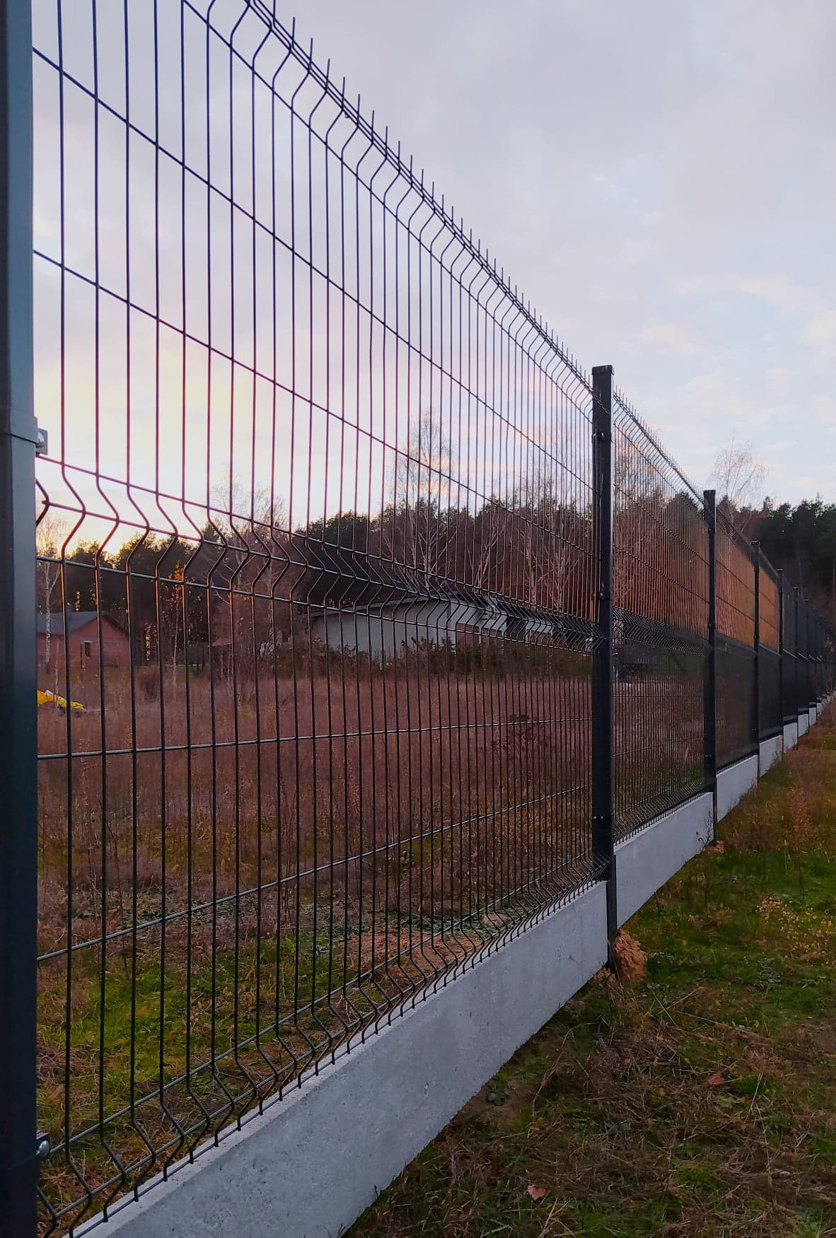 Długie, czarne, stalowe ogrodzenie z paneli na betonowej podmurówce, widok z boku, w tle zarośla i drzewa o zmierzchu.