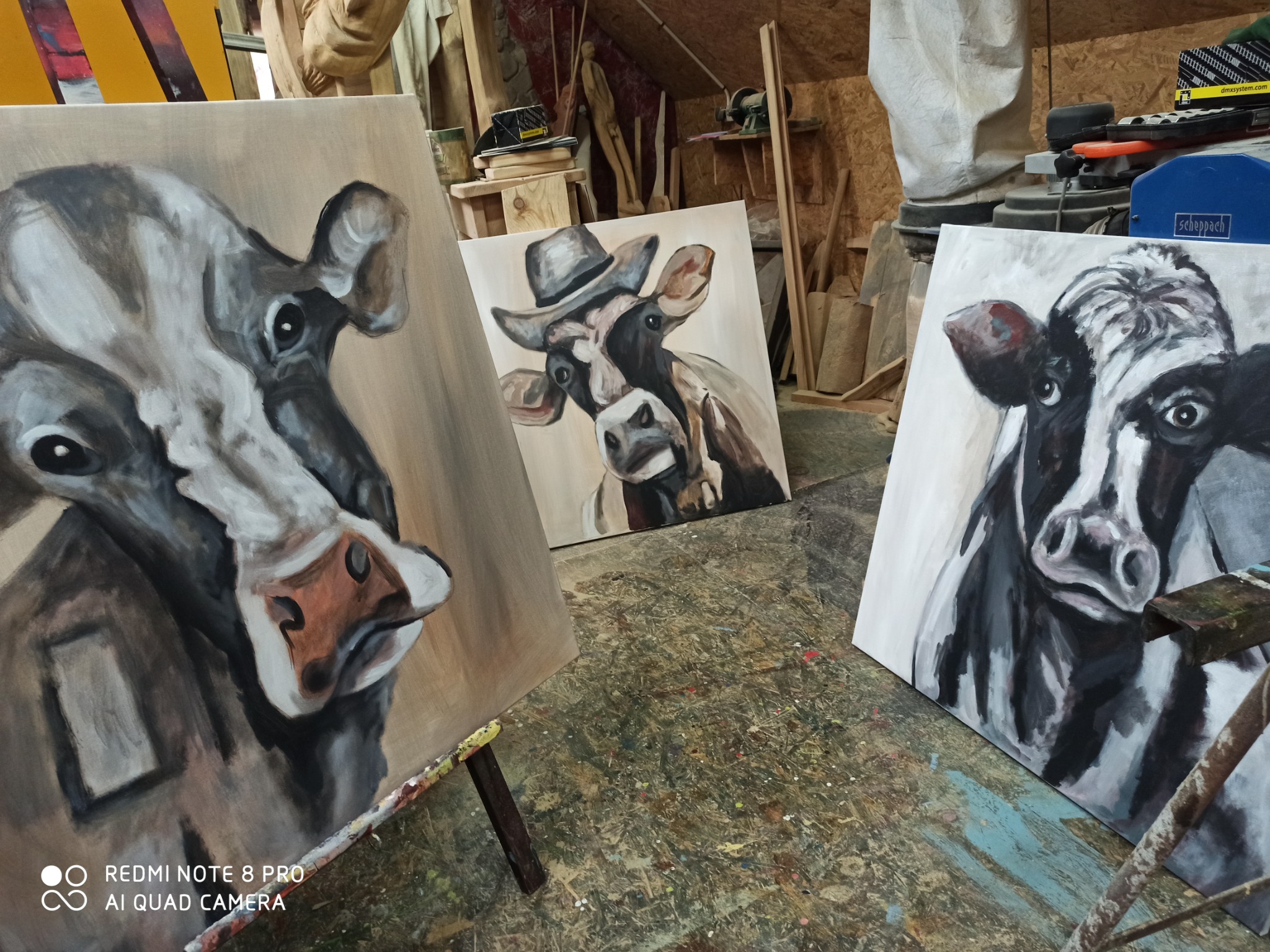 Trzy obrazy olejne przedstawiające portrety krów, jeden z nich w kapeluszu, ustawione w pracowni artystycznej na podłodze pokrytej plamami farb.