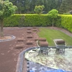 Rozkładanie rolek trawy na przygotowanym podłożu w ogrodzie; widoczne dwie taczki z rolkami, fragment trawnika i żywopłot w tle.