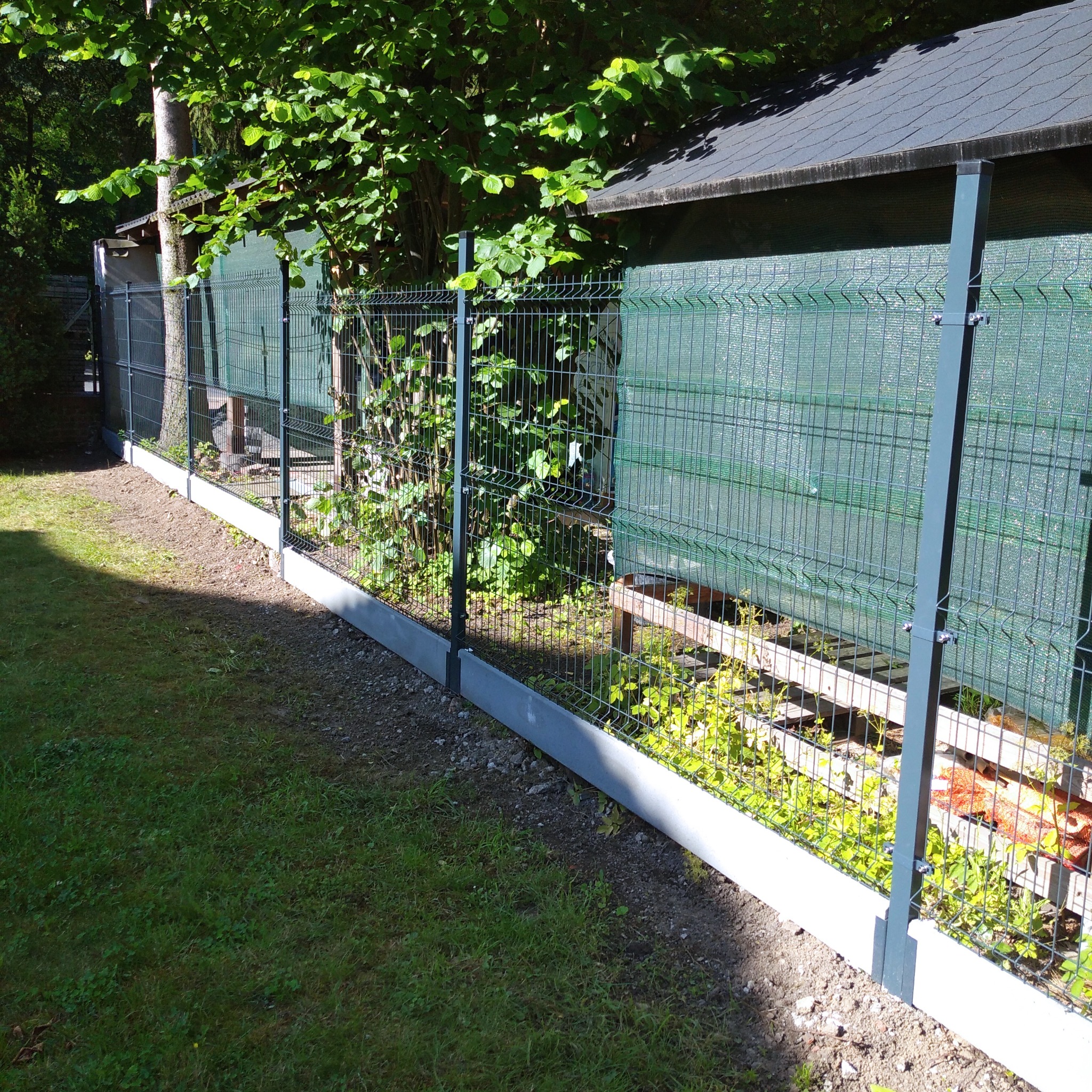 Nowo zamontowane, panelowe ogrodzenie z podmurówką betonową, siatka w kolorze grafitowym, widok z perspektywy trawnika, w tle zieleń drzew i budynek gospodarczy z siatką maskującą.