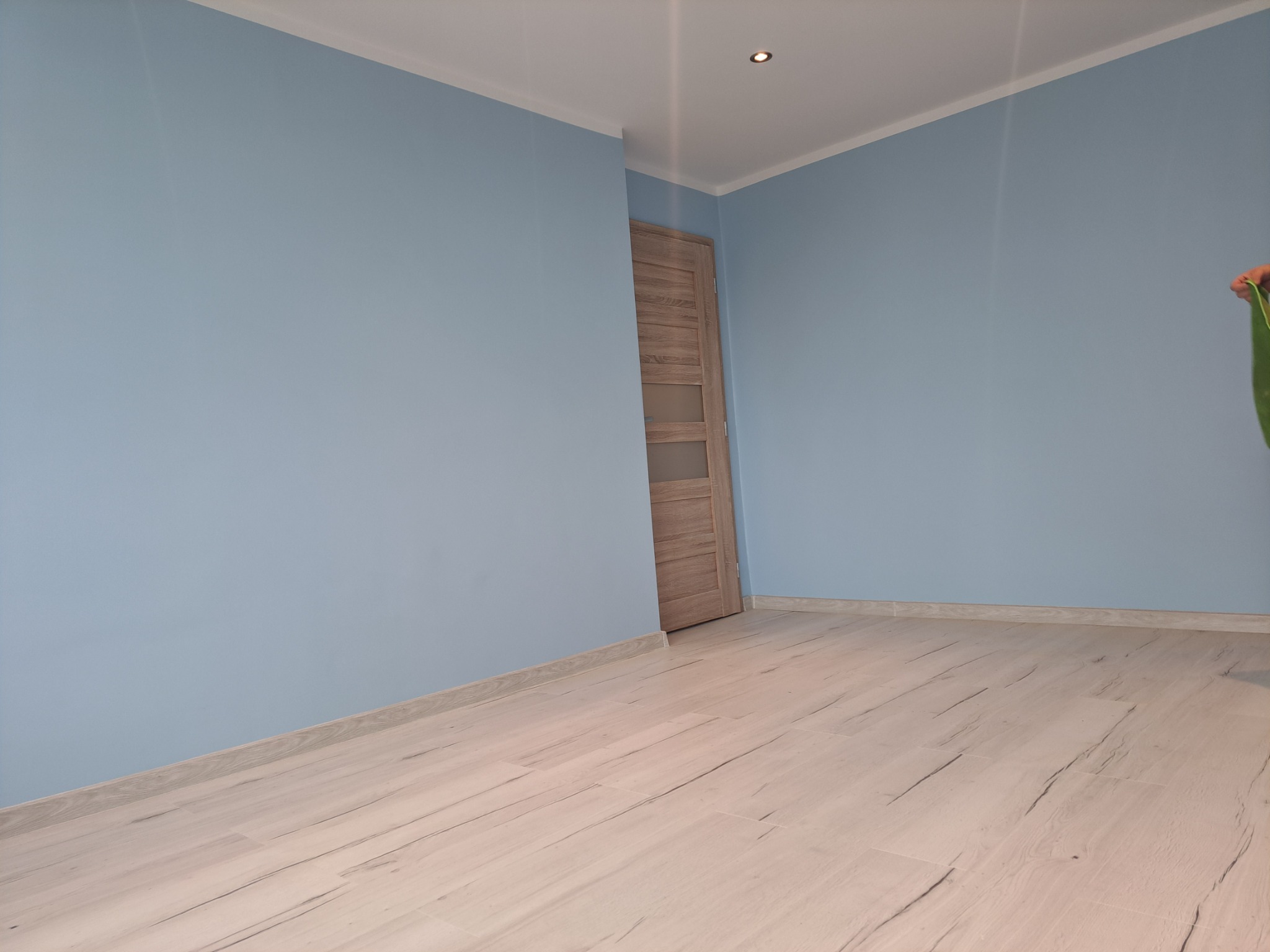 Pomalowane na błękitno ściany pokoju z drewnianą podłogą i drzwiami z przeszkleniami, widok na listwę przypodłogową i sufit z oświetleniem punktowym.