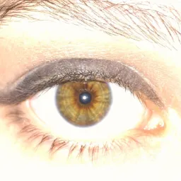 Zapraszam do współpracy