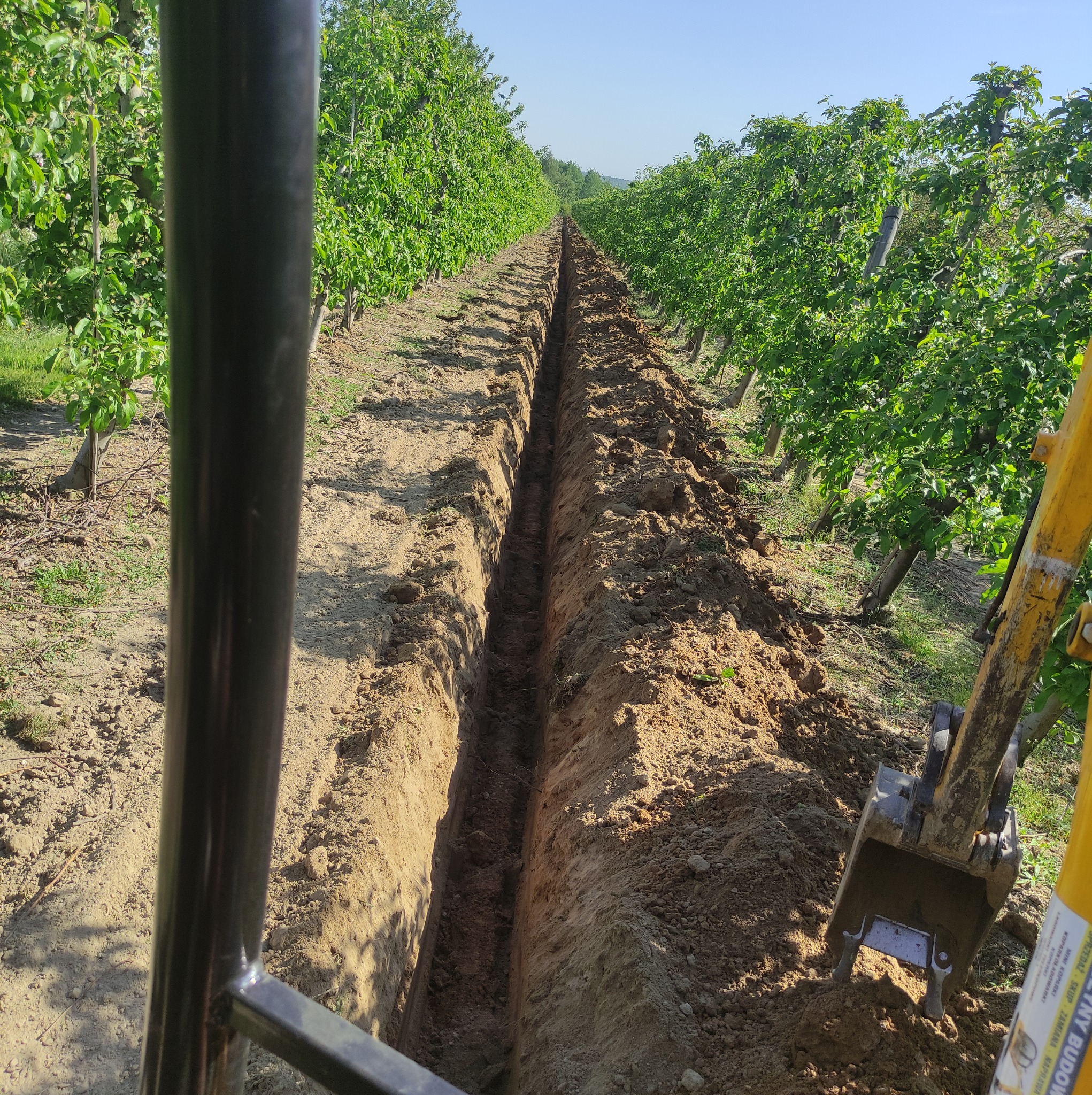 Wąski wykop w ziemi, ciągnący się wzdłuż rzędu drzew owocowych, widoczny z perspektywy operatora koparki, z fragmentem żółtego ramienia maszyny po prawej stronie.