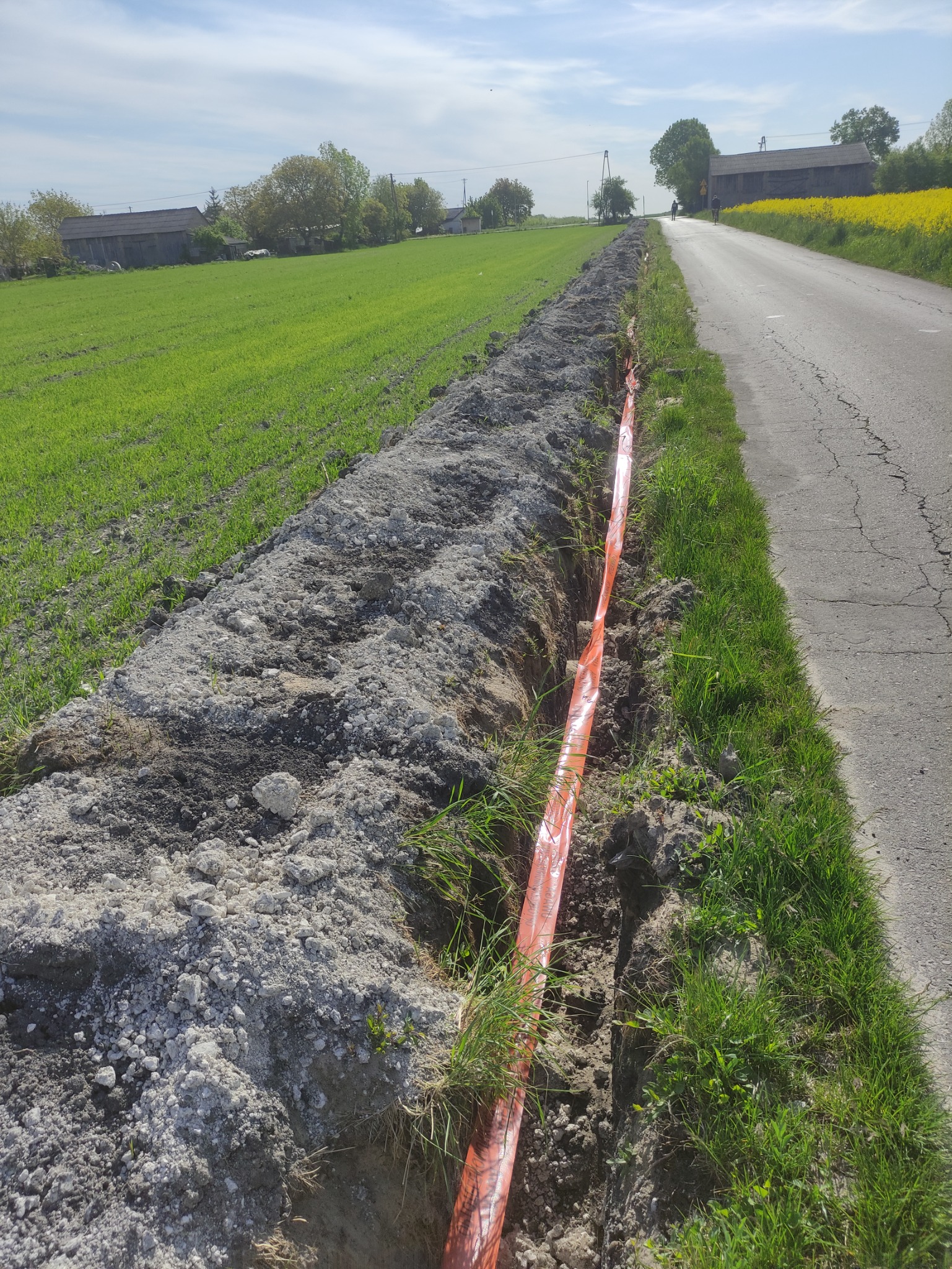 Wykopany rów w ziemi, zabezpieczony pomarańczową taśmą ostrzegawczą, biegnący wzdłuż drogi i pola z zielonym zbożem, częściowo zasypany ziemią.