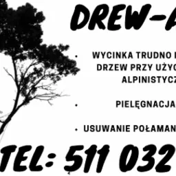 Wycinka i pielęgnacja drzew metoda alpinistyczną oraz usługi rębakiem.