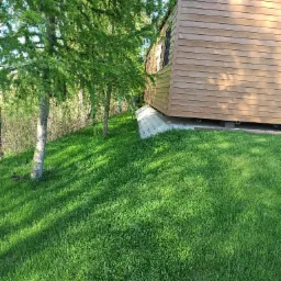 Drewniany domek modułowy z widoczną elewacją z desek, osadzony na betonowej konstrukcji, otoczony zielonym trawnikiem i drzewami iglastymi.