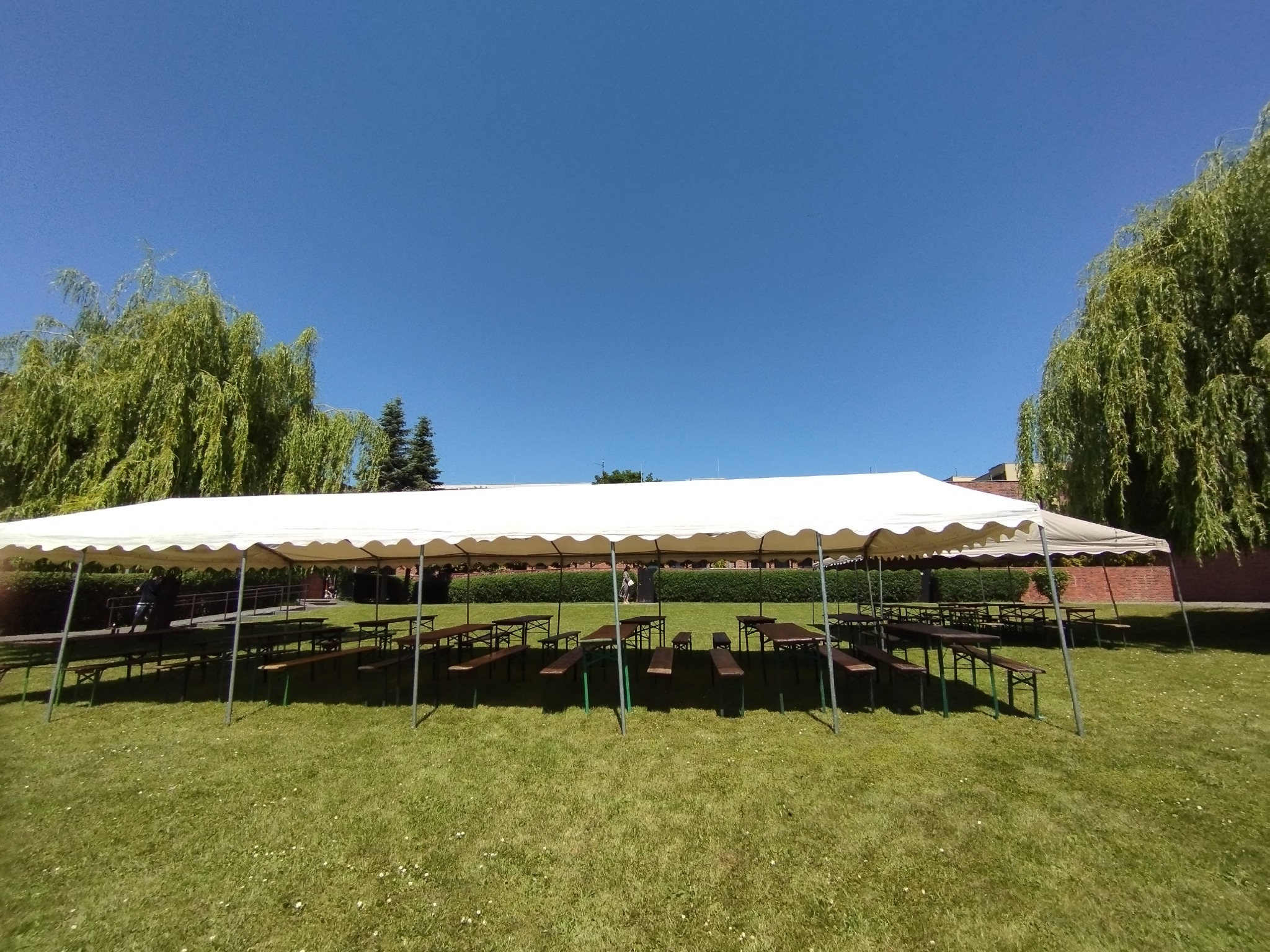 Biały namiot plenerowy z rzędami drewnianych stołów i ławek na zielonym trawniku, widok z dołu na tle błękitnego nieba i drzew