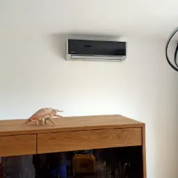 Zamontowany klimatyzator Sinclair na białej ścianie nad drewnianą komodą z dekoracyjną muszlą