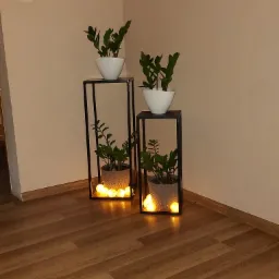 Dwie metalowe, czarne konstrukcje w stylu minimalistycznym, służące jako kwietniki, z roślinami doniczkowymi; dolne rośliny podświetlone kulami świetlnymi na drewnianej podłodze.