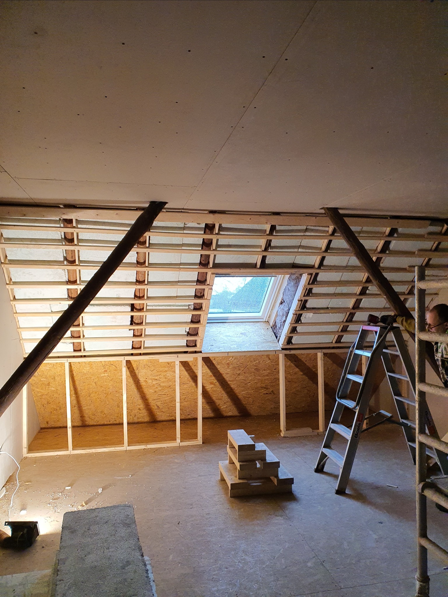 Poddasze w trakcie adaptacji: widoczne krokwie, izolacja, płyty kartonowo-gipsowe na suficie, okno dachowe, fragment ściany z płyt OSB, drabina i narzędzia pracy.