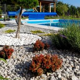 Plant World - Roboty ziemne Rabka-Zdrój