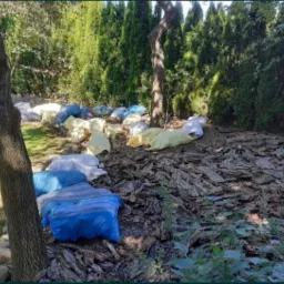 możliwość kupna kory wraz z transportem oraz rozłożeniem