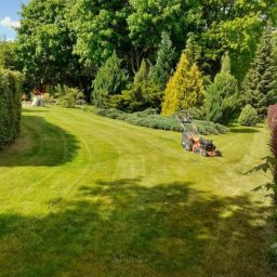 koszenia pielęgnacyjne 