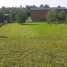 Pogotowie ogrodowe Daniel Iwański - Starannie skoszony trawnik z młodymi drzewkami iglastymi, drewniany domek letniskowy na podwyższeniu w tle, ogrodzenie siatkowe z betonową podmurówką.