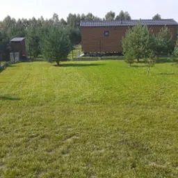 Starannie skoszony trawnik z młodymi drzewkami iglastymi, drewniany domek letniskowy na podwyższeniu w tle, ogrodzenie siatkowe z betonową podmurówką.