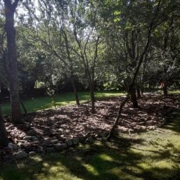 Pogotowie ogrodowe Daniel Iwański - Fragment ogrodu z młodymi drzewami, wyściółkowaną korą rabatą i obramowaniem z kamieni na granicy trawnika.