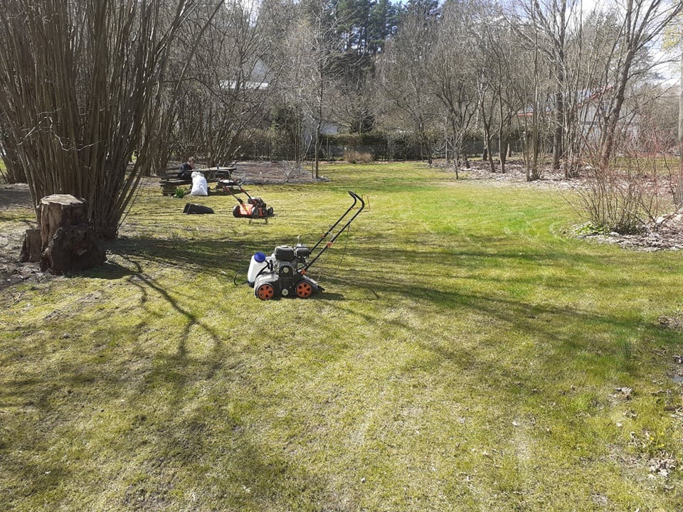 wertykulacje aoraz areacje