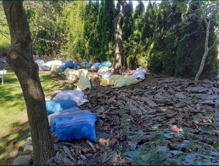 możliwość kupna kory wraz z transportem oraz rozłożeniem