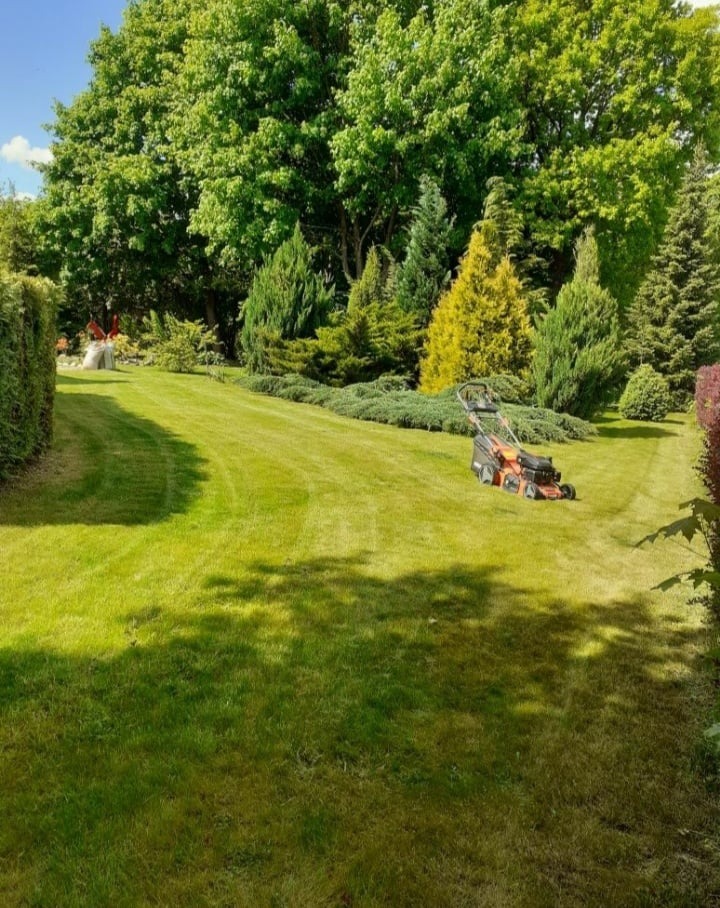 koszenia pielęgnacyjne