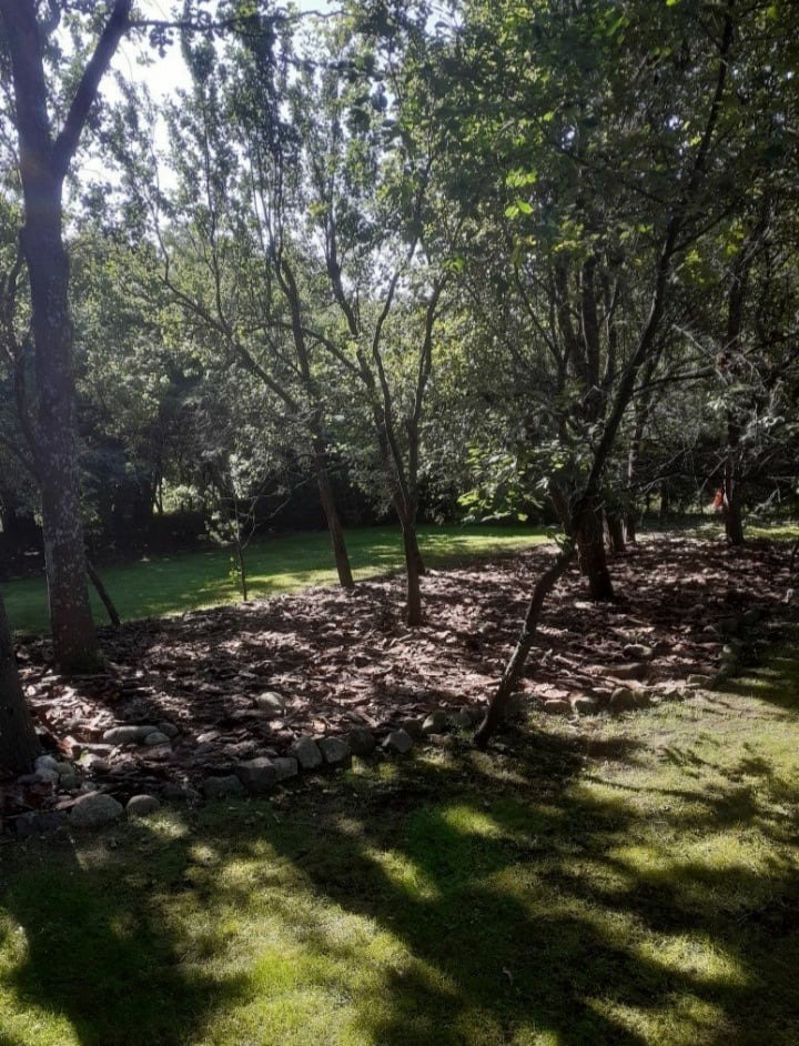 Fragment ogrodu z młodymi drzewami, wyściółkowaną korą rabatą i obramowaniem z kamieni na granicy trawnika.