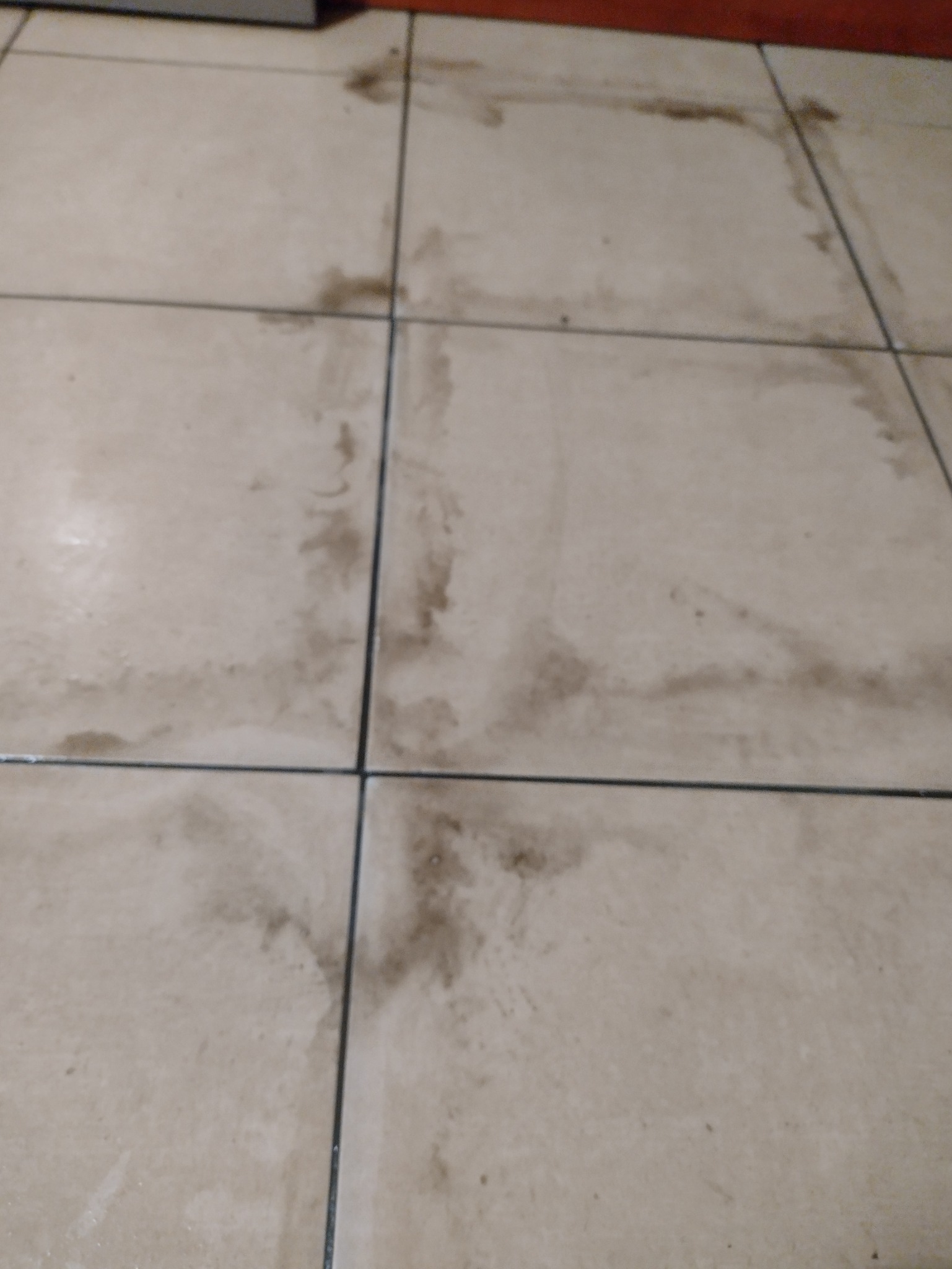 Brudna, ceramiczna podłoga z widocznymi plamami i smugami, prawdopodobnie po niedokładnym umyciu lub zalaniu.