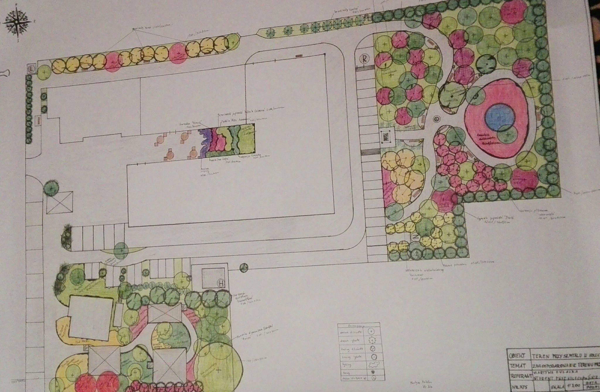 Ręcznie rysowany plan zagospodarowania terenu zielonego przy szpitalu, z uwzględnieniem nasadzeń drzew, krzewów i rabat kwiatowych, z legendą objaśniającą oznaczenia roślin.