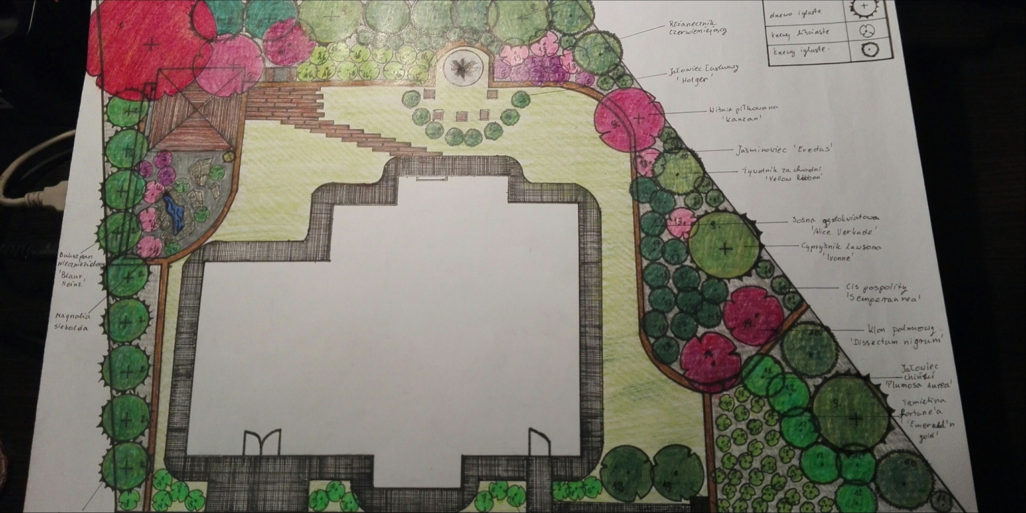Ręcznie rysowany plan zagospodarowania terenu wokół domu z zaznaczonymi gatunkami roślin, ich rozmieszczeniem i elementami architektury ogrodowej, takimi jak ścieżki i fontanna.