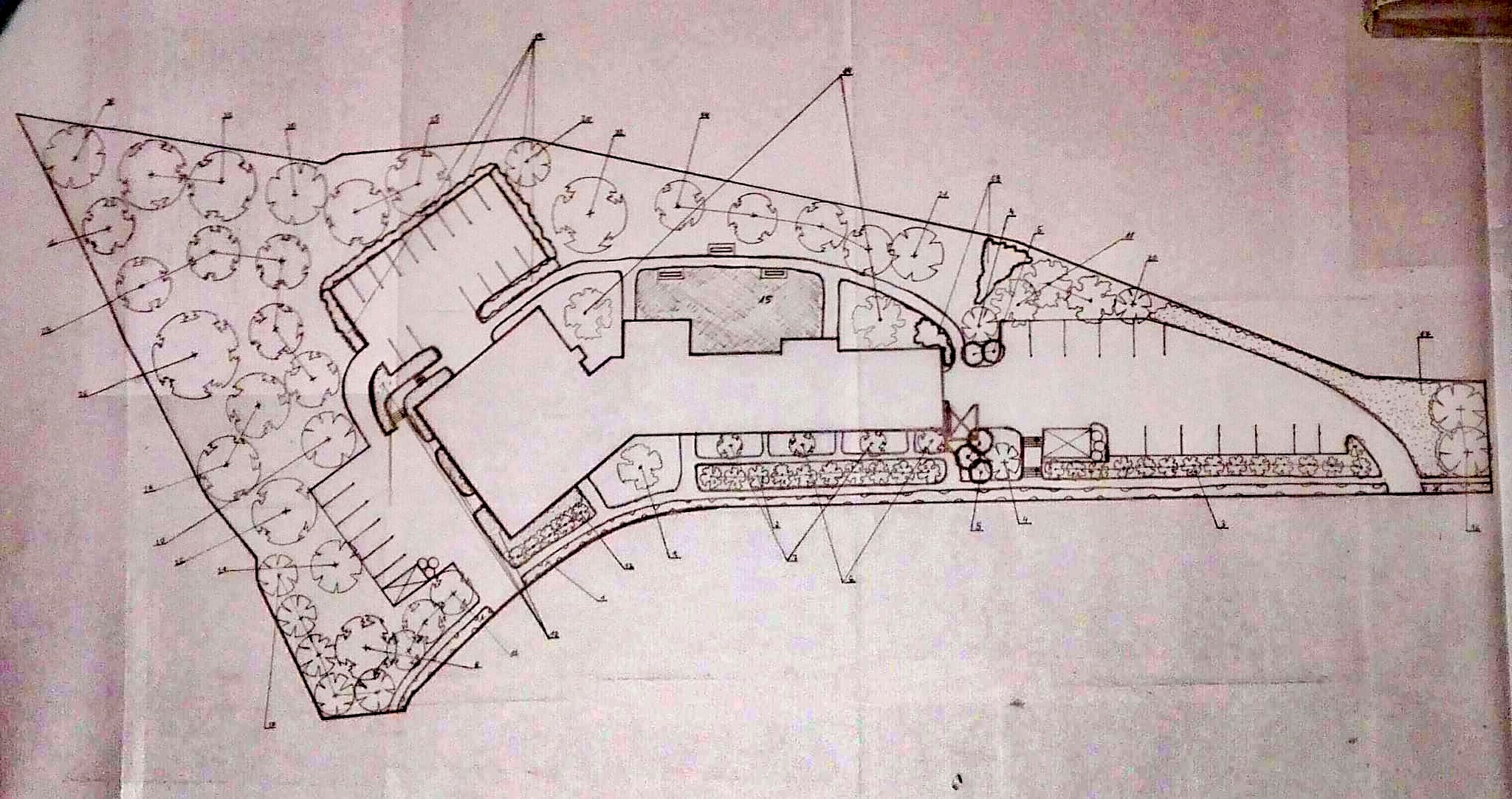 Ręcznie rysowany plan zagospodarowania terenu wokół budynku z zaznaczonymi drzewami, parkingiem i elementami zieleni.