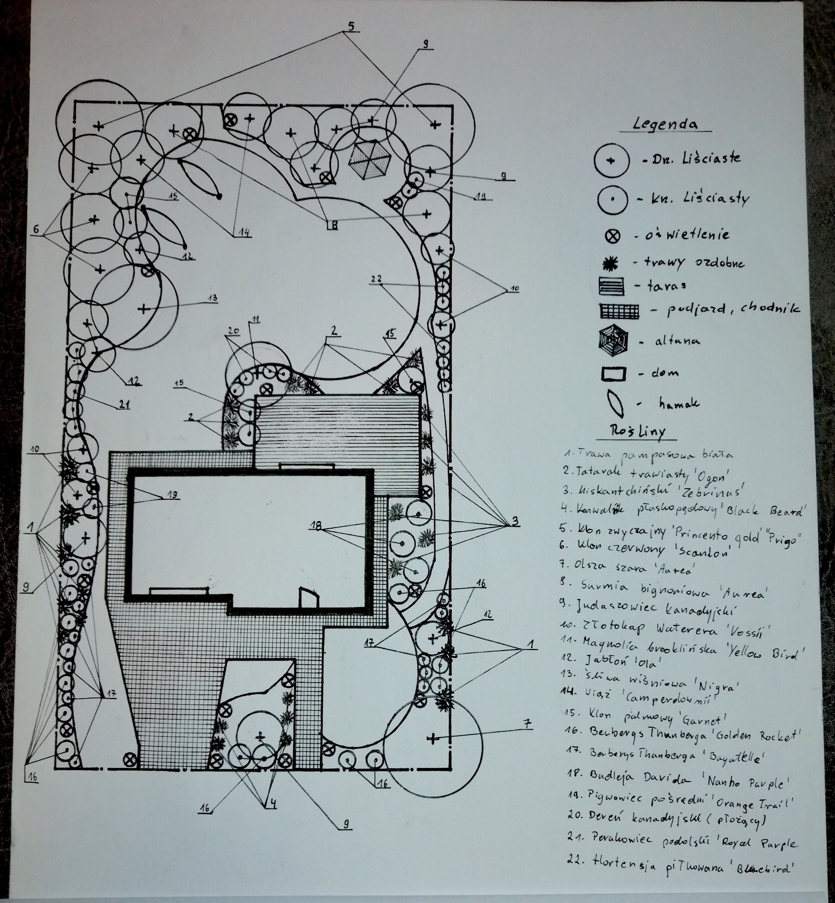 Ręcznie rysowany plan zagospodarowania ogrodu z legendą i listą roślin, zawierający oznaczenia drzew liściastych, trawników, tarasu, podjazdu, altany i domu.