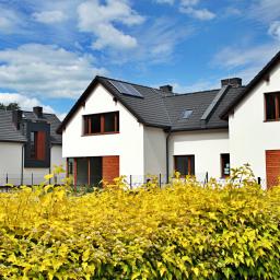 Okno-Piast Wołów - Nowoczesne, białe domy jednorodzinne z ciemnymi dachami i drewnianymi elementami wykończeniowymi, widoczne zza kwitnącego, żółtego krzewu.