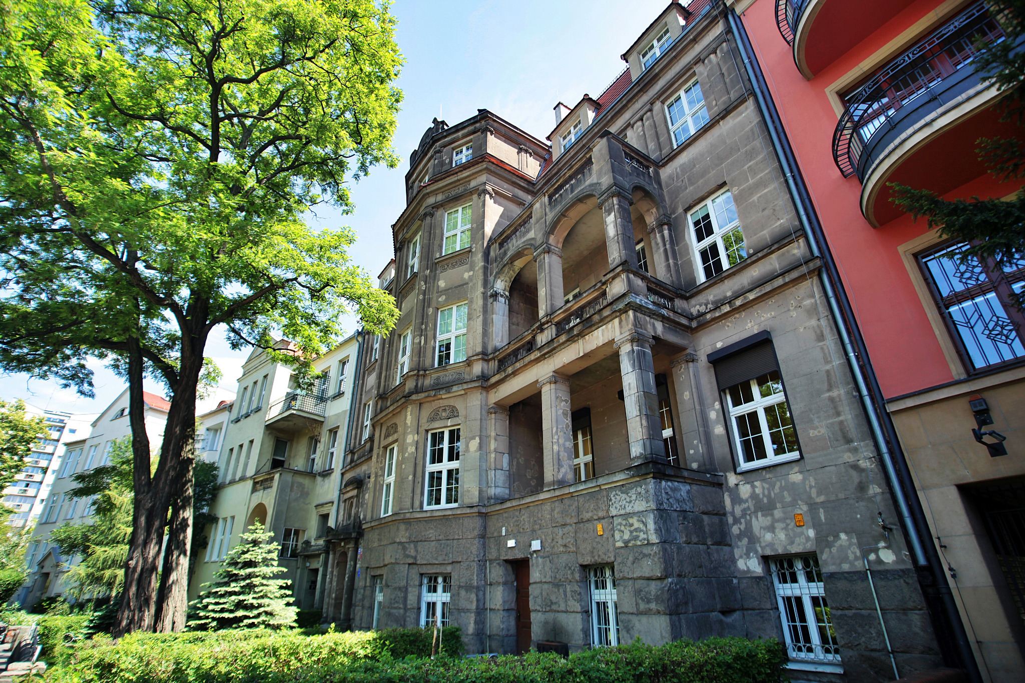 Fasada kamienicy z białymi oknami, widok z dołu, zieleń drzew na pierwszym planie.