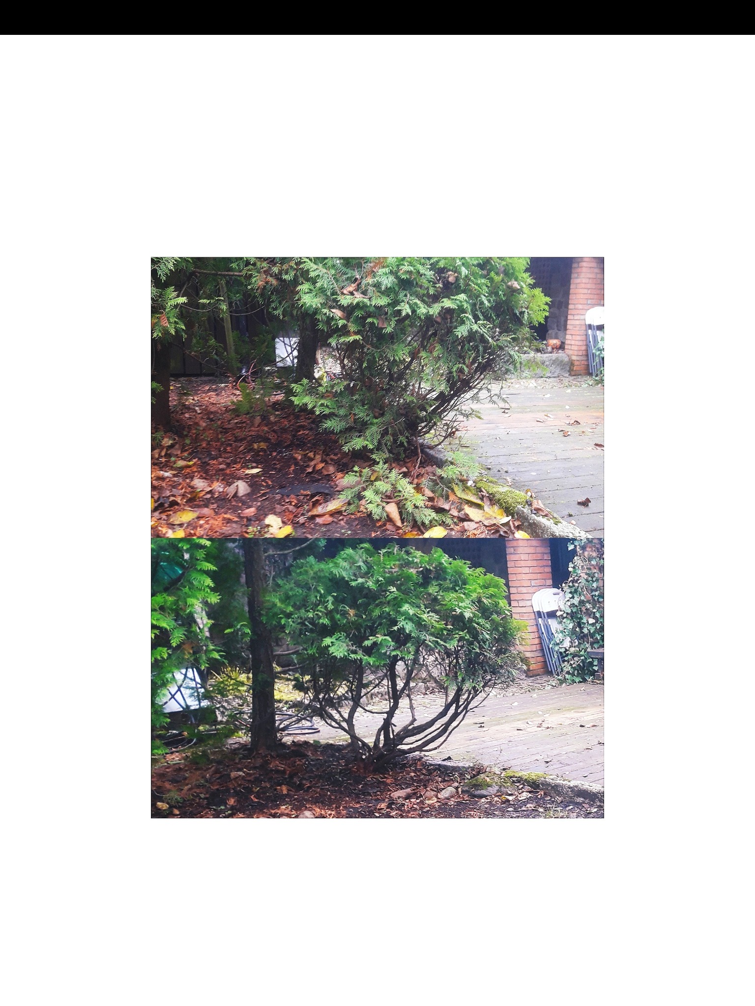 Wykonanie czapeczek zgodnie z wizją klienta.