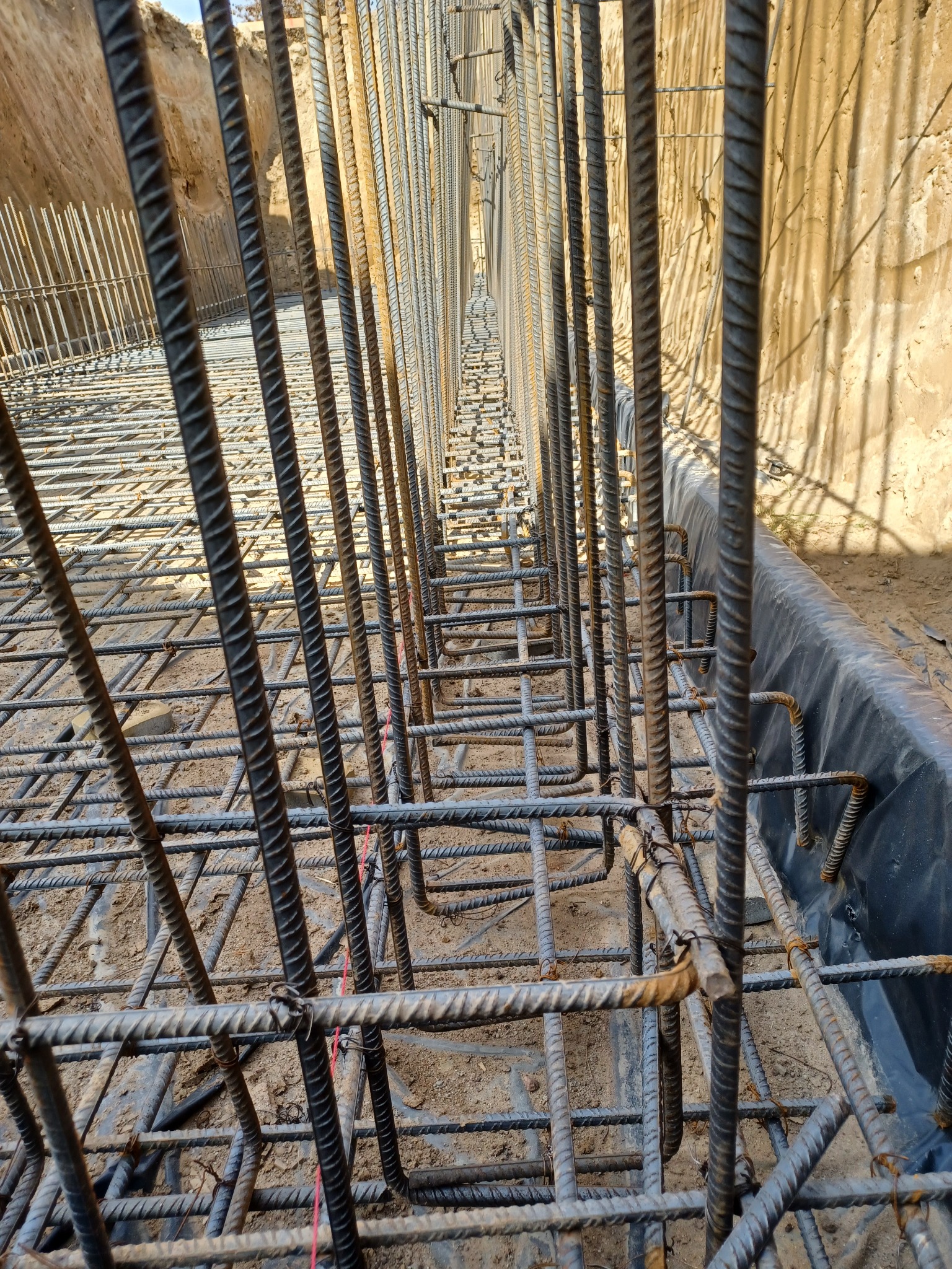 Zbrojenie pionowe i poziome fundamentów w wykopie, zabezpieczonym folią budowlaną, widoczne ślady ziemi i betonu