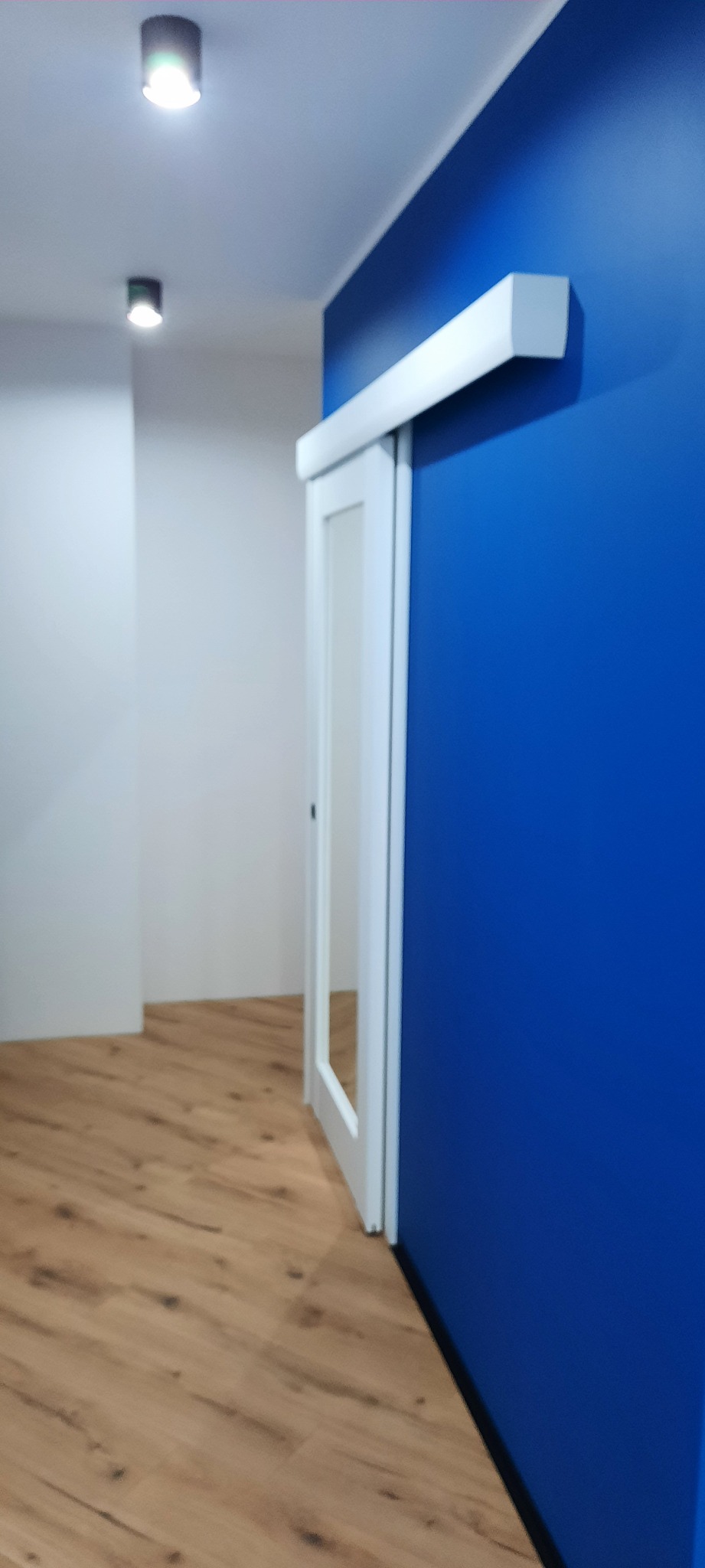 Błękitna ściana z przesuwnymi, białymi drzwiami. Na podłodze panele imitujące drewno. W tle biała ściana i sufit z dwoma punktowymi lampami.