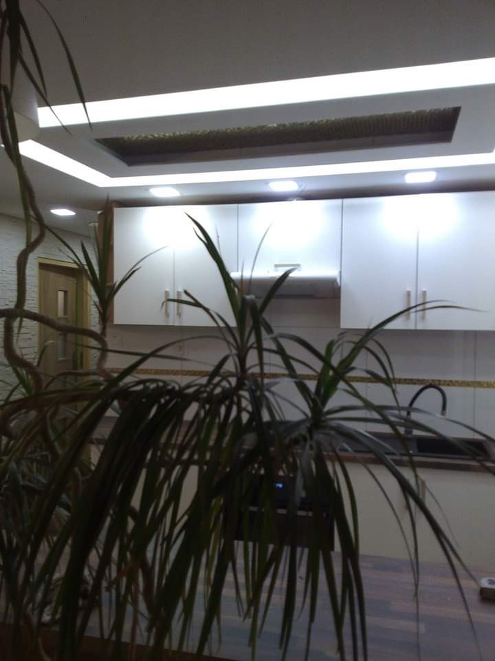 Nowoczesna kuchnia z białymi szafkami i oświetleniem LED w suficie, widoczna przez liście dużej rośliny doniczkowej.