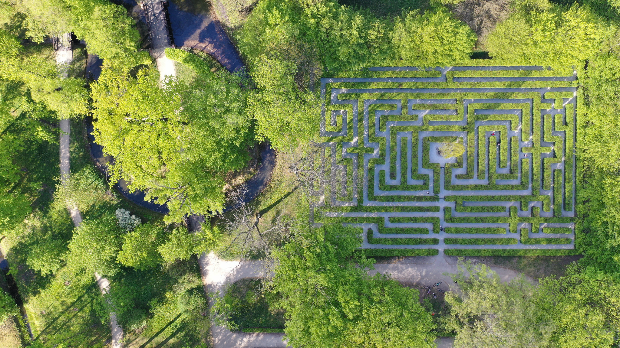 Widok z lotu ptaka na labirynt z żywopłotu, otoczony zielenią drzew i krzewów, z widocznymi ścieżkami i kilkoma osobami wewnątrz.