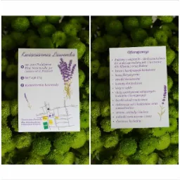 Dwa zdjęcia wizytówki kwiaciarni Lawenda na tle zielonych kwiatów. Jedno zdjęcie pokazuje adres i mapkę dojazdu, drugie ofertę kwiaciarni.