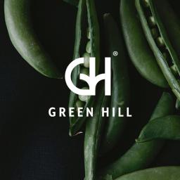 Projekt identyfikacji wizualnej dla marki Green Hill / 2017