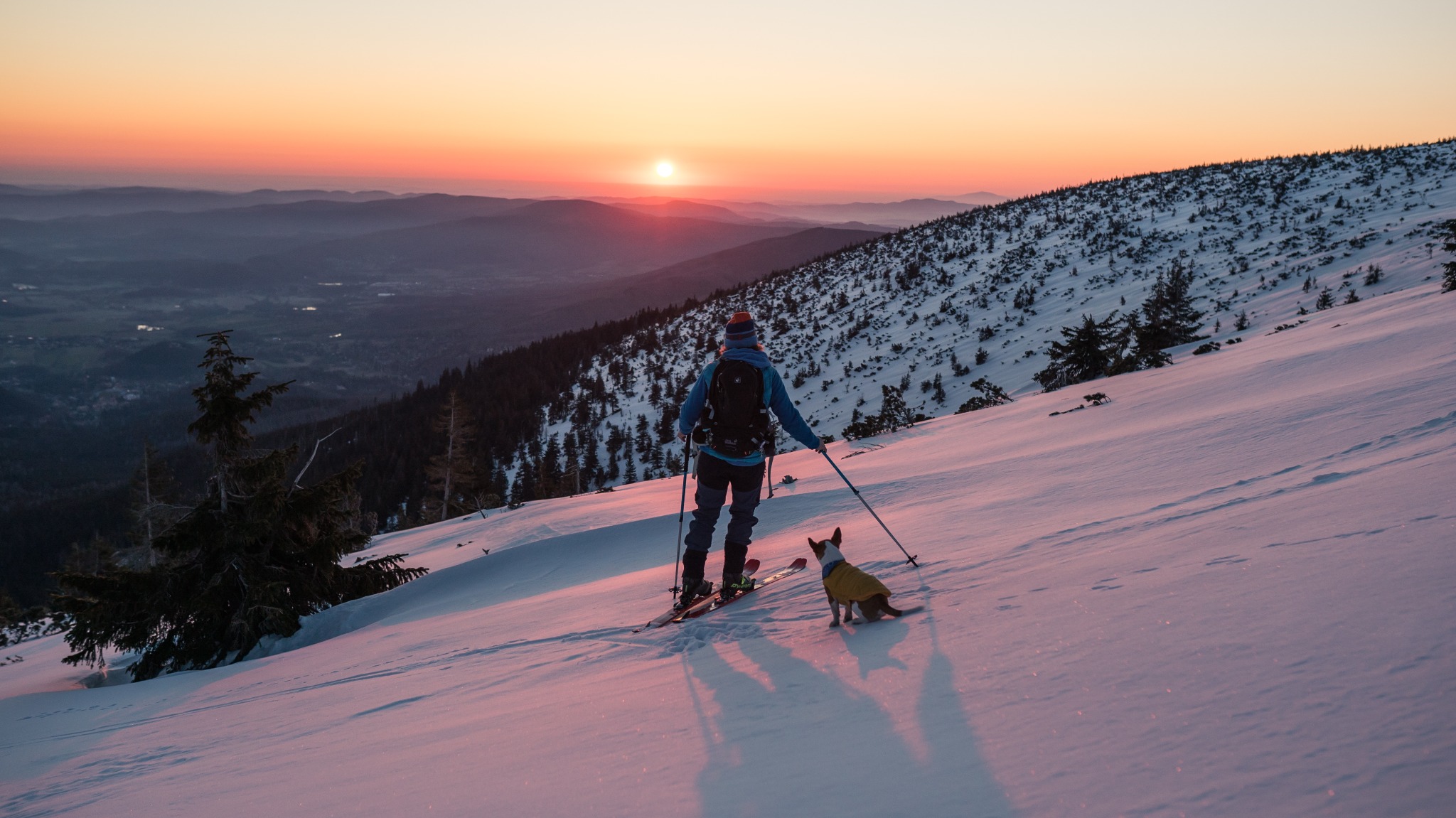 Wędrowiec na skiturach z psem w żółtej kurtce podziwia wschód słońca nad ośnieżonymi górami.