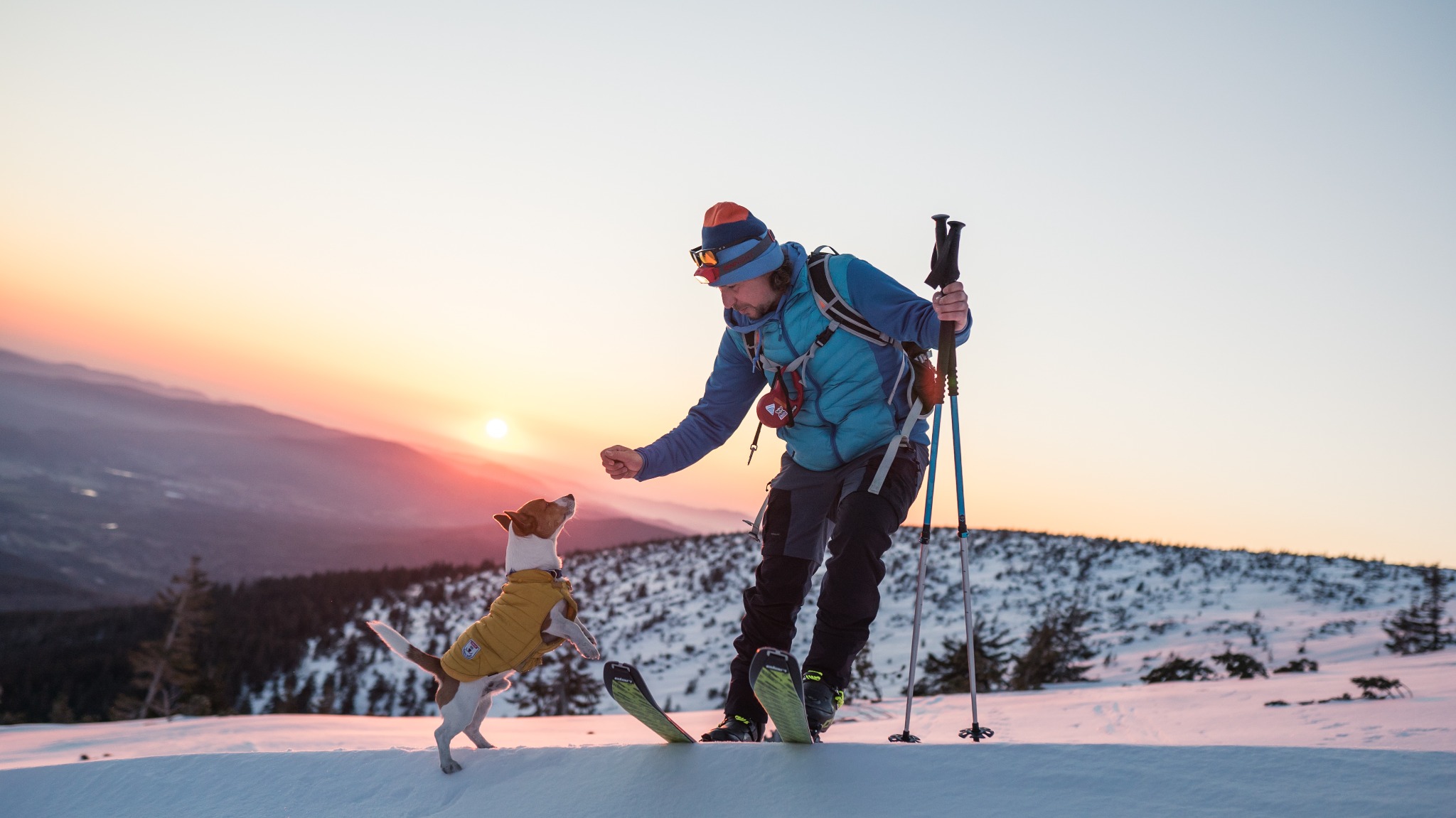 Narciarz w niebieskiej kurtce i czapce, stojący na śniegu o zachodzie słońca, podaje smakołyk psu rasy Jack Russell Terrier ubranemu w żółtą kurtkę.