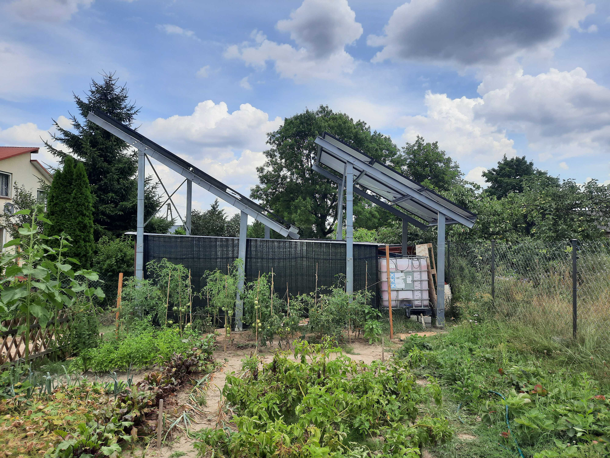 Konstrukcja wsporcza pod panele słoneczne nad przydomowym ogródkiem warzywnym z pomidorami i burakami, w tle biały zbiornik na wodę i pochmurne niebo.